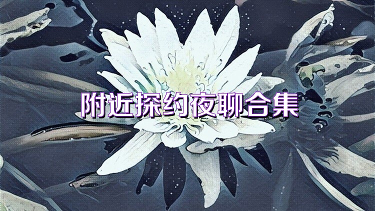 附近探约夜聊合集