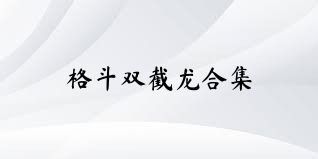 格斗双截龙合集
