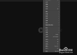 PotPlayer如何设置自动更新