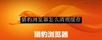 猎豹浏览器如何清理缓存