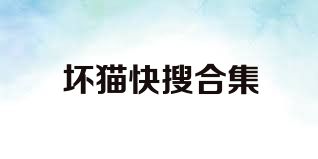 坏猫快搜合集
