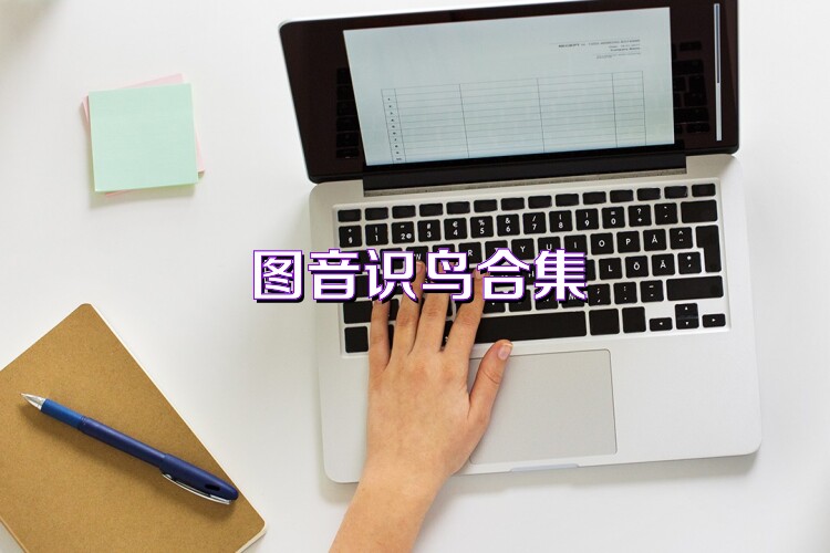 图音识鸟合集