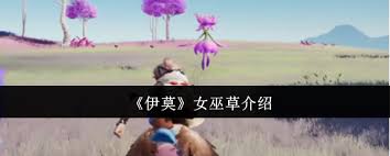 伊莫女巫草怎么样