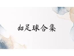 ds足球合集