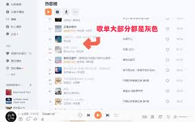 国外如何使用网易云音乐