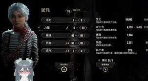 光与影33号远征队高攻高防队如何配装