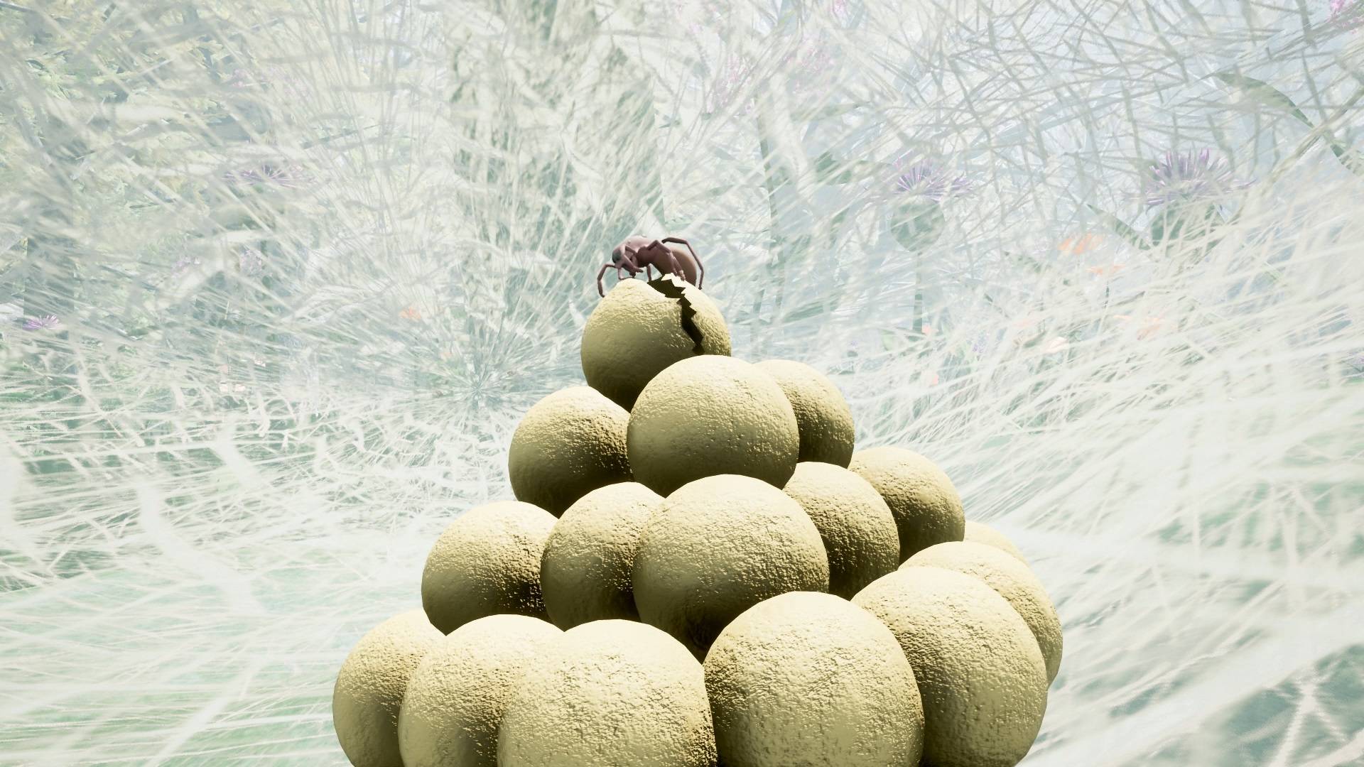 大自然与生命：沉迷花蜜NatureAndLife免费版