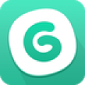 GG大玩家手机版