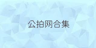 公拍网合集