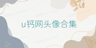 u钙网头像合集
