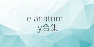 e-anatomy合集