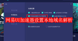 网易UU加速器怎样设置本地域名解析
