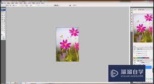 Photoshop cs5如何让图片铺满整个画面