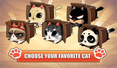 猫小盒手机版