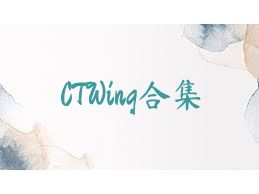 CTWing合集