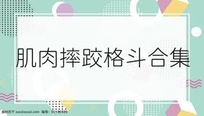 肌肉摔跤格斗合集
