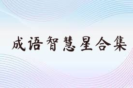 成语智慧星合集