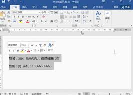 Word文档文字如何快速对齐