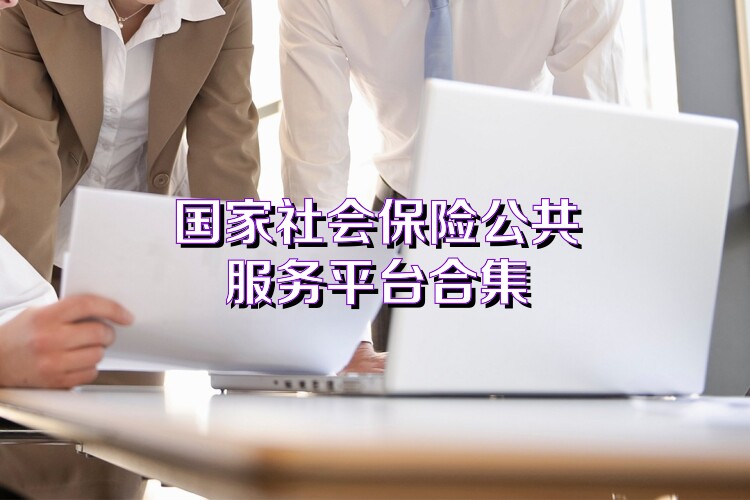 国家社会保险公共服务平台合集