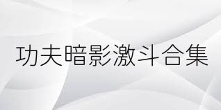 功夫暗影激斗合集