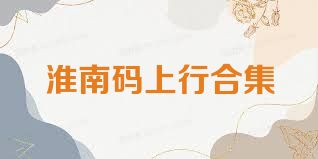 淮南码上行合集