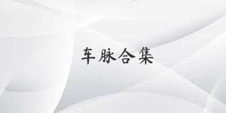 车脉合集