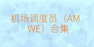 机场调度员（AMWE）合集