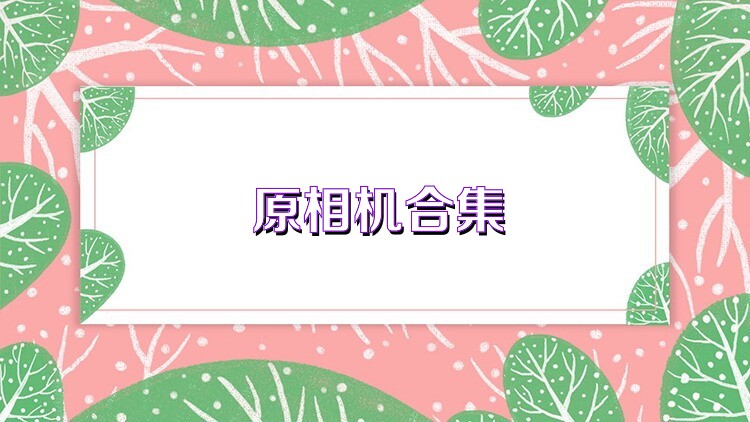 原相机合集