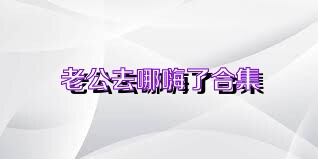 老公去哪嗨了合集