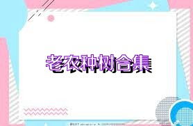 老农种树合集