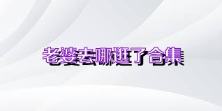 老婆去哪逛了合集