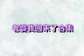 老婆我回来了合集