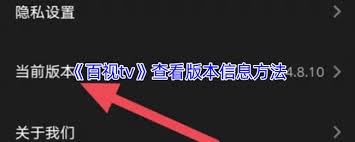 百视tv版本号在哪里看