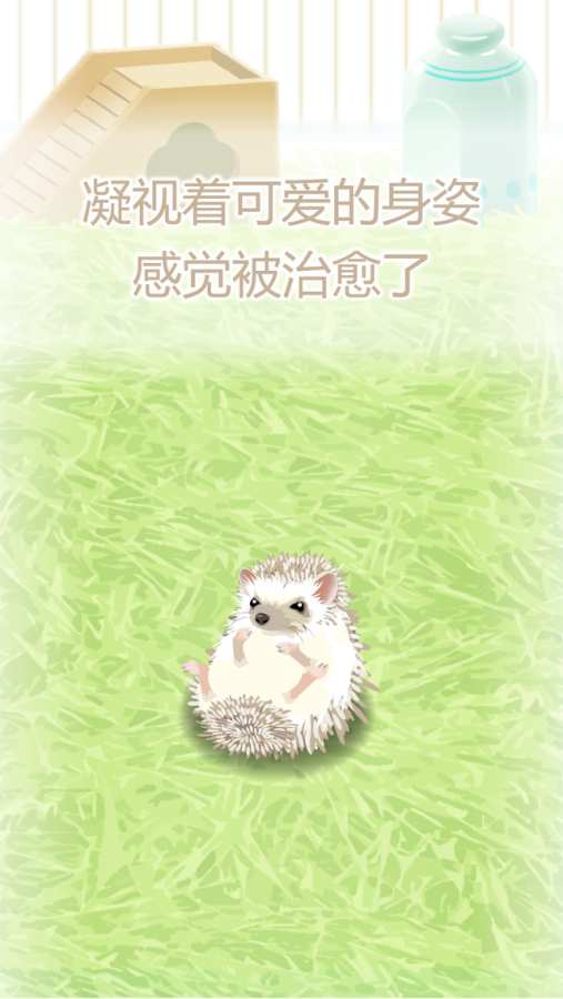治愈的猬刺育成手机版