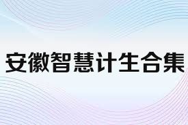 安徽智慧计生合集