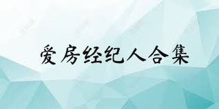 爱房经纪人合集
