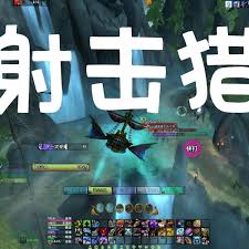 魔兽世界11.1射击猎如何使用打地鼠WA