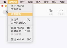 XMind怎样设置启动时检查更新和消息