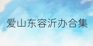 爱山东容沂办合集