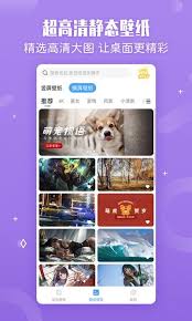 小鸟壁纸怎么查看下载的壁纸图片