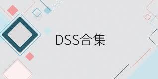 DSS合集