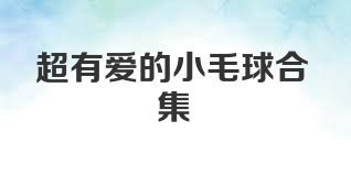 超有爱的小毛球合集