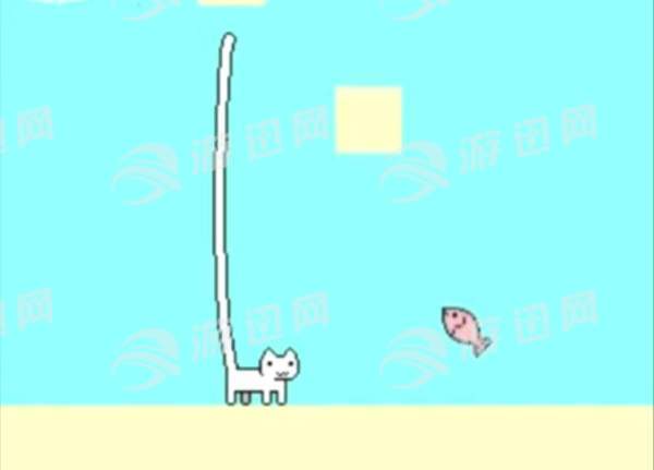 吃不到鱼的猫