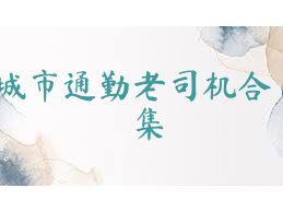 城市通勤老司机合集