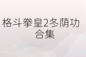 格斗拳皇2冬荫功合集