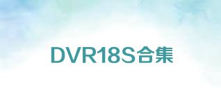 DVR18S合集