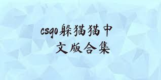 csgo躲猫猫中文版合集