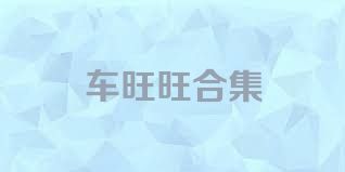 车旺旺合集