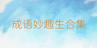 成语妙趣生合集