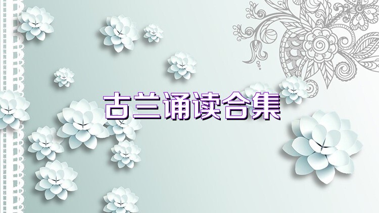 古兰诵读合集